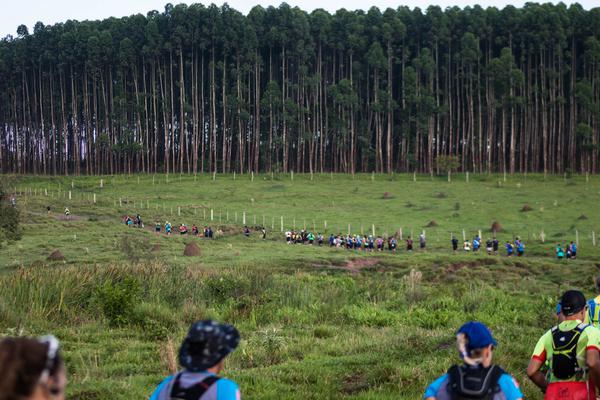 Corrida passa próxima de plantações de eucaliptos (Wladimir Togumi / Brasil Ride)